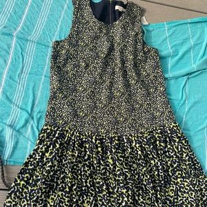 Ann Taylor Dress